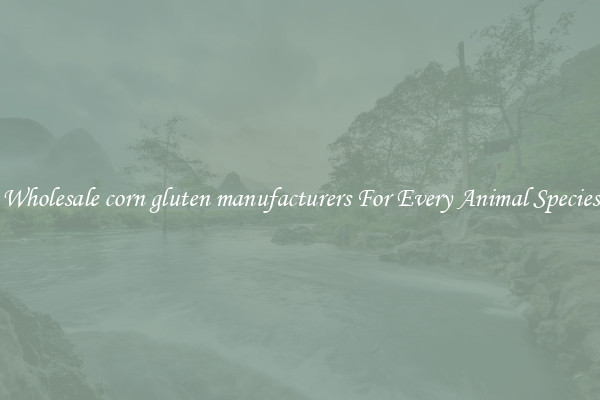 Wholesale corn gluten manufacturers For Every Animal Species