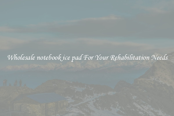 Wholesale notebook ice pad For Your Rehabilitation Needs