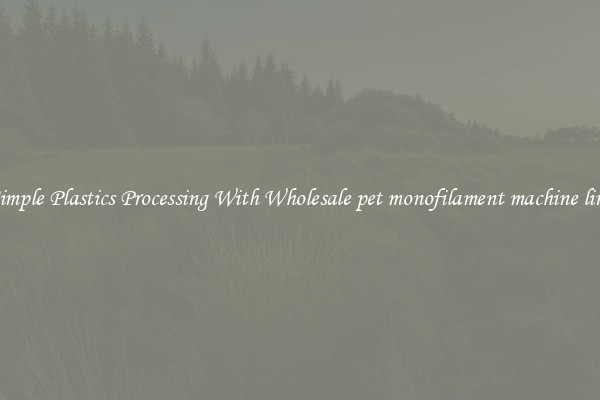 Simple Plastics Processing With Wholesale pet monofilament machine line