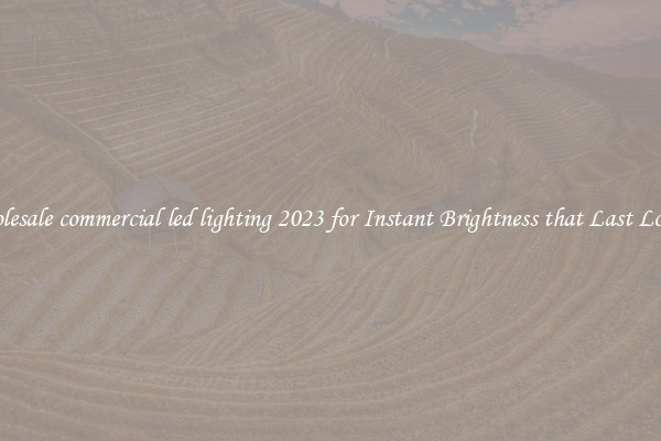 Wholesale commercial led lighting 2023 for Instant Brightness that Last Longer