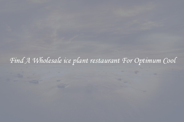 Find A Wholesale ice plant restaurant For Optimum Cool