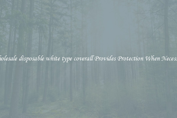 Wholesale disposable white type coverall Provides Protection When Necessary