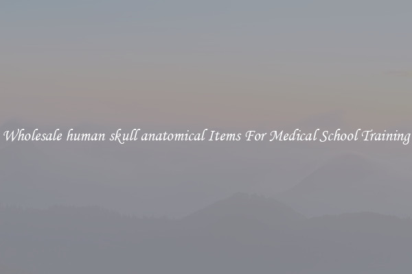 Wholesale human skull anatomical Items For Medical School Training