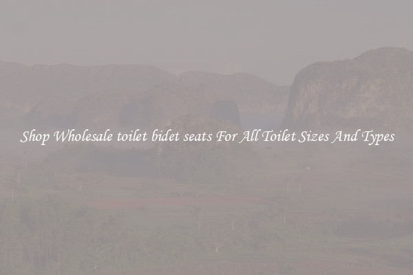 Shop Wholesale toilet bidet seats For All Toilet Sizes And Types