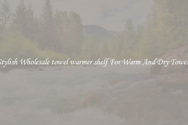 Stylish Wholesale towel warmer shelf For Warm And Dry Towels