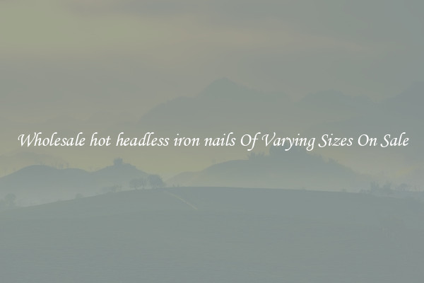 Wholesale hot headless iron nails Of Varying Sizes On Sale