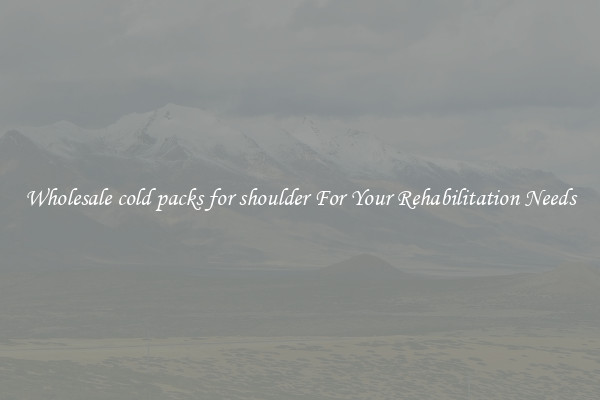 Wholesale cold packs for shoulder For Your Rehabilitation Needs