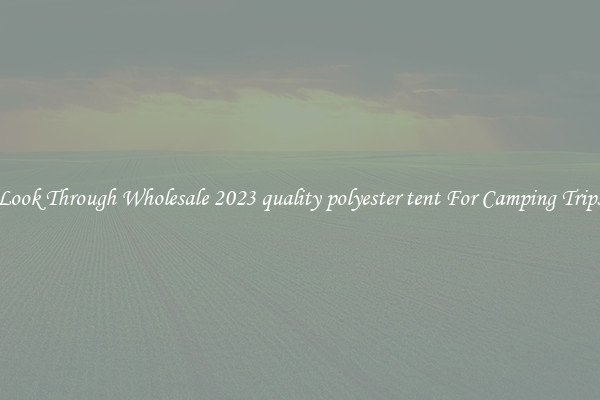 Look Through Wholesale 2023 quality polyester tent For Camping Trips