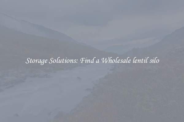Storage Solutions: Find a Wholesale lentil silo
