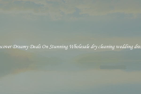 Discover Dreamy Deals On Stunning Wholesale dry cleaning wedding dresses