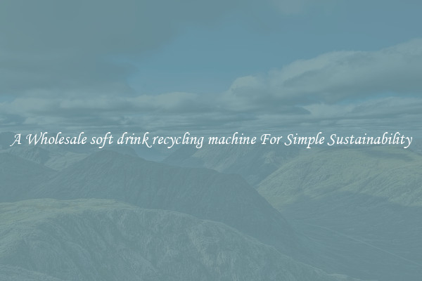  A Wholesale soft drink recycling machine For Simple Sustainability 