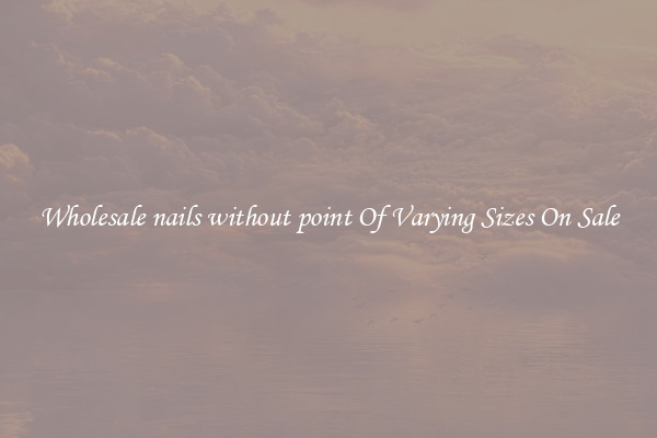 Wholesale nails without point Of Varying Sizes On Sale