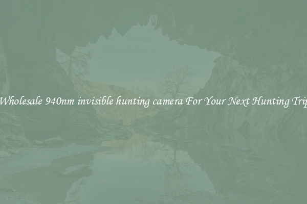 Wholesale 940nm invisible hunting camera For Your Next Hunting Trip