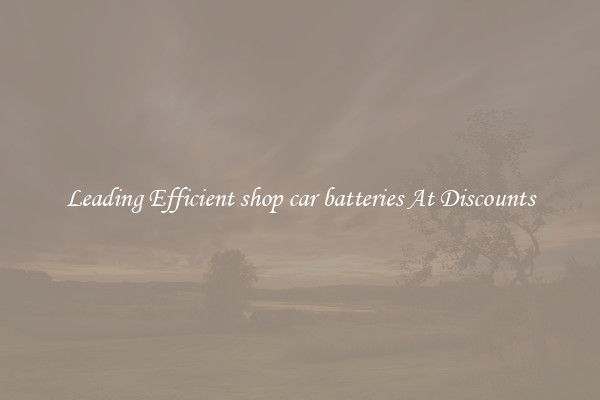 Leading Efficient shop car batteries At Discounts