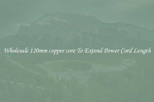 Wholesale 120mm copper core To Extend Power Cord Length