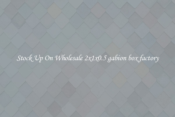 Stock Up On Wholesale 2x1x0.5 gabion box factory