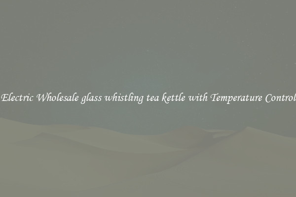 Electric Wholesale glass whistling tea kettle with Temperature Control