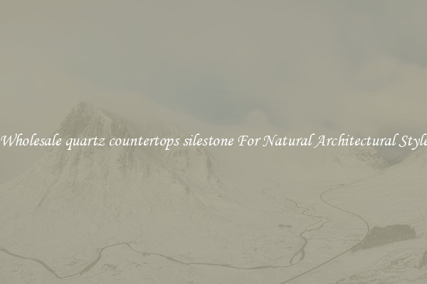 Wholesale quartz countertops silestone For Natural Architectural Style