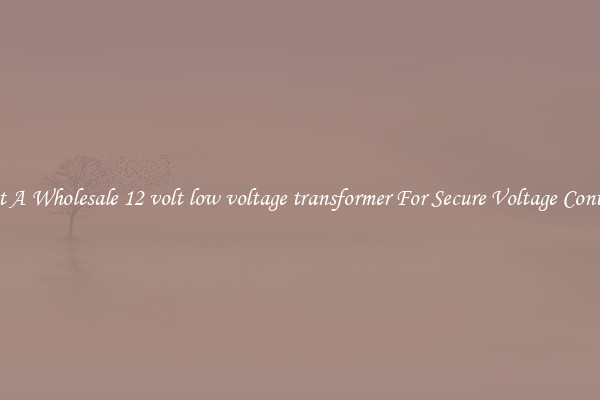 Get A Wholesale 12 volt low voltage transformer For Secure Voltage Control