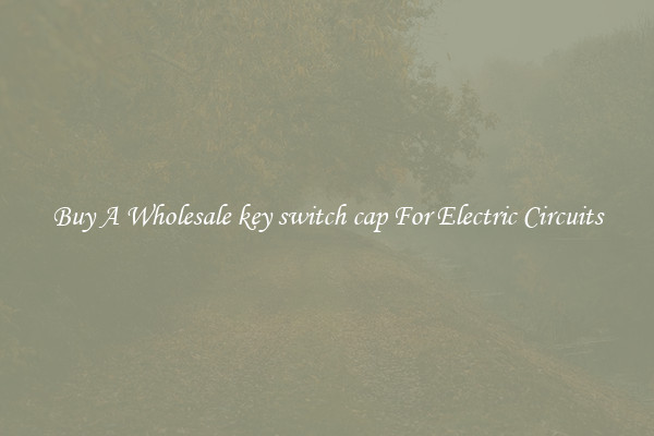 Buy A Wholesale key switch cap For Electric Circuits