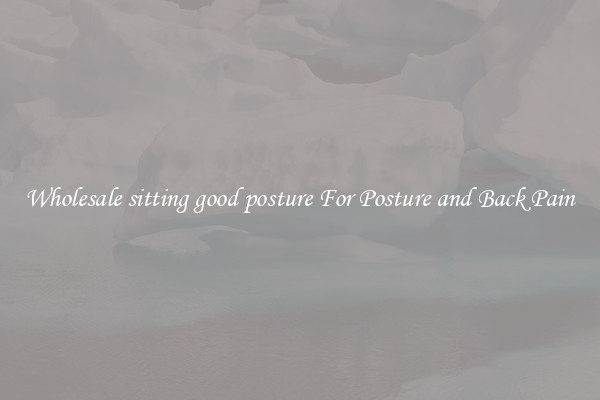 Wholesale sitting good posture For Posture and Back Pain