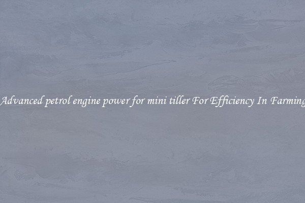 Advanced petrol engine power for mini tiller For Efficiency In Farming