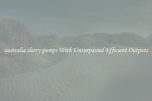 australia slurry pumps With Unsurpassed Efficient Outputs