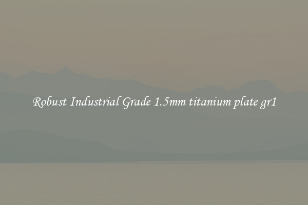Robust Industrial Grade 1.5mm titanium plate gr1