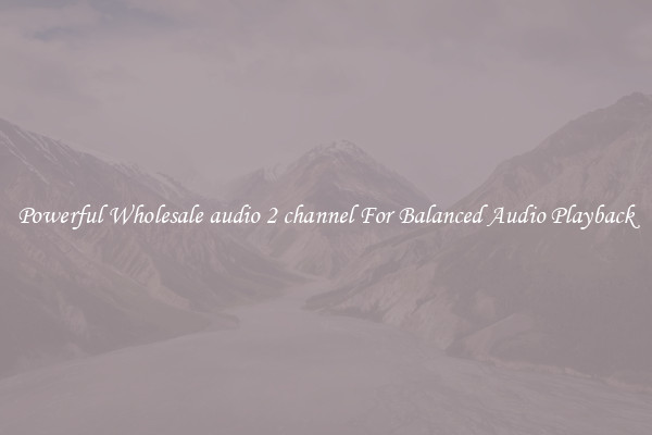 Powerful Wholesale audio 2 channel For Balanced Audio Playback
