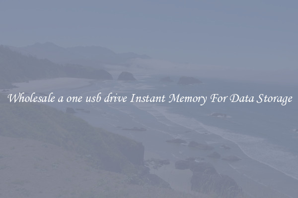 Wholesale a one usb drive Instant Memory For Data Storage